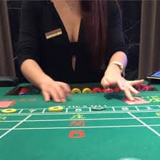 bat877